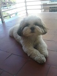 Avatar de Usuario